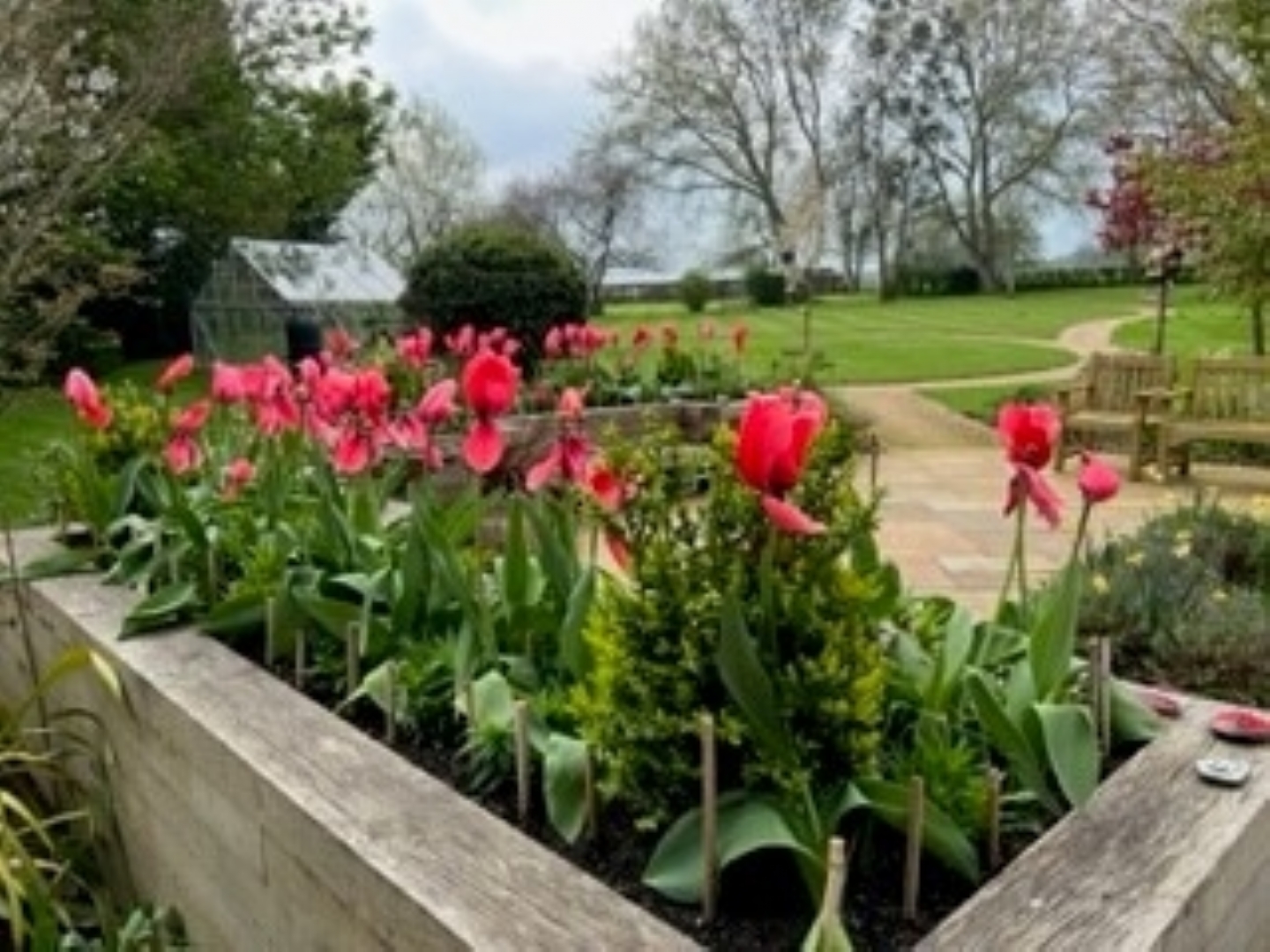 Our Colourful Garden