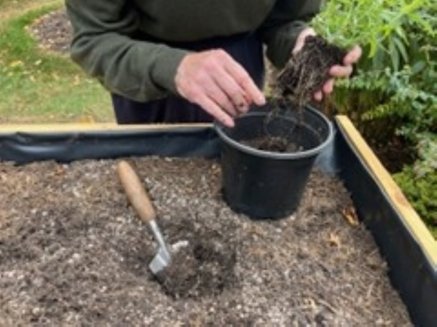 Gardening Activities