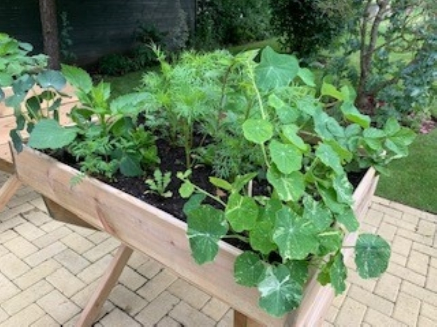 the-old-vicarage-news-warm-weather
